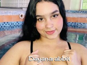 Dayanarabbit