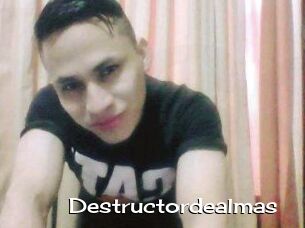 Destructordealmas