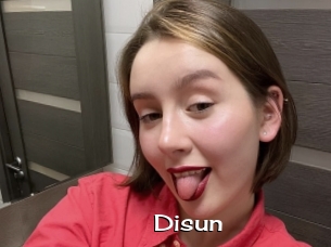 Disun