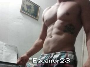 Escanor23