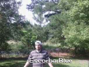 Escorbar_Blue