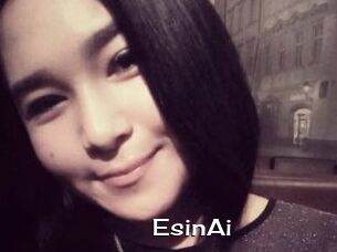 EsinAi