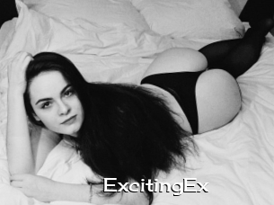 ExcitingEx