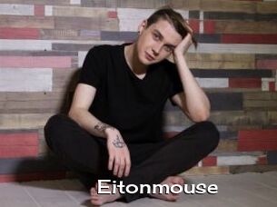 Eitonmouse