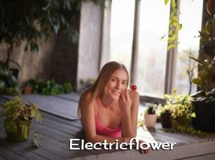 Electricflower