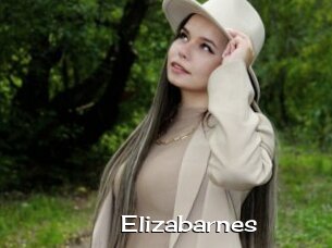 Elizabarnes