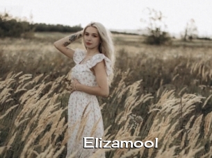Elizamool