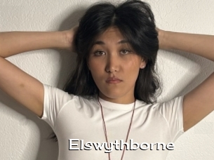 Elswythborne