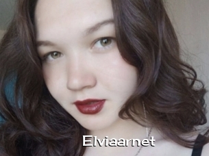 Elviaarnet