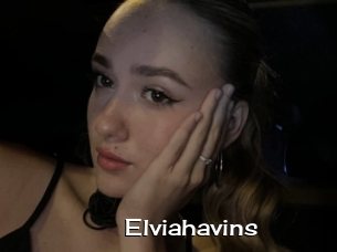 Elviahavins