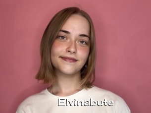 Elvinabute