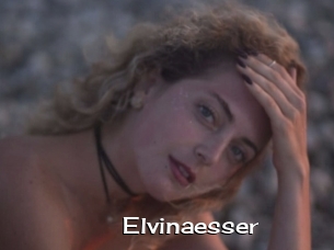 Elvinaesser