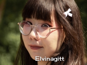 Elvinagitt