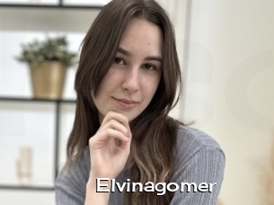 Elvinagomer