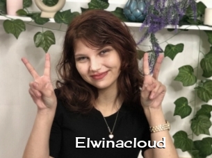 Elwinacloud