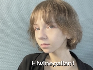 Elwinegallant