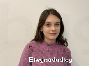 Elwynadudley
