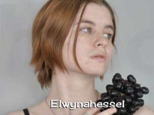 Elwynahessel