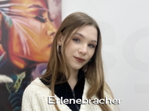 Erlenebracher