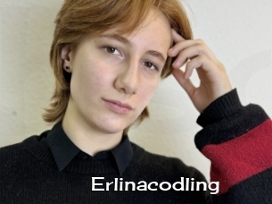 Erlinacodling