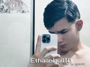 Ethaanbull18