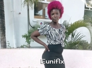 Eunifix