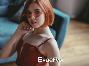 Evaafox