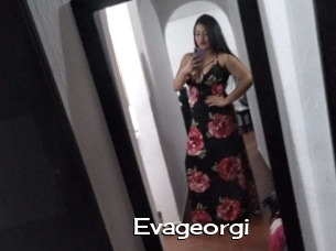 Evageorgi