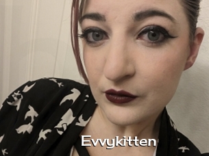 Evvykitten