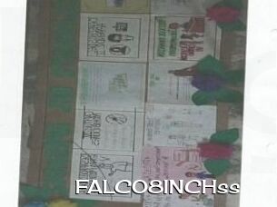 FALCO8INCHss