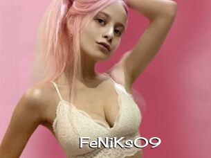 FeNiKs09