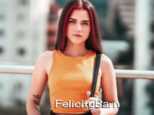 FelicityBarn