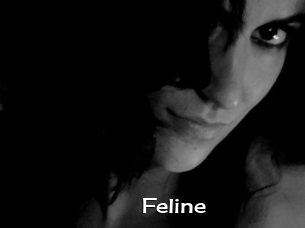 Feline