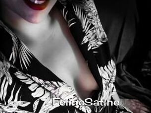 FelineSatine