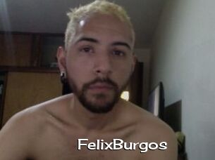FelixBurgos