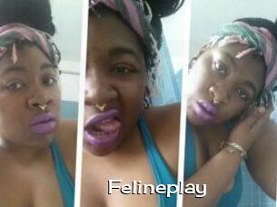 Felineplay
