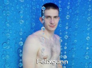 Felixgunn