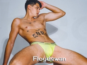 Floydswan