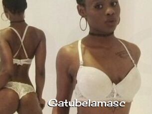 Gatubela_masc