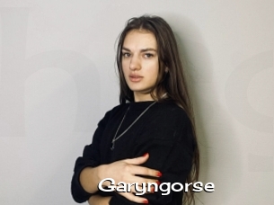Garyngorse