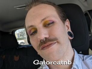 Gatorcatnb