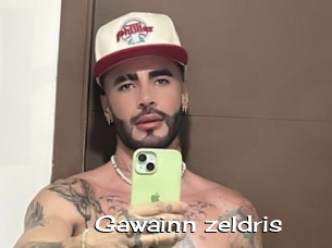 Gawainn_zeldris