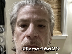 Gizmo46n29