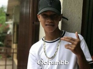Gohanbb