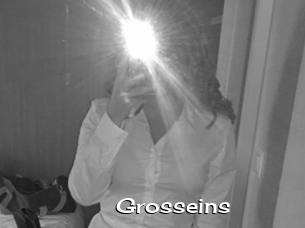 Grosseins