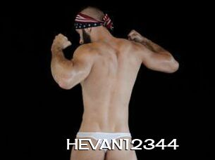 HEVAN12344