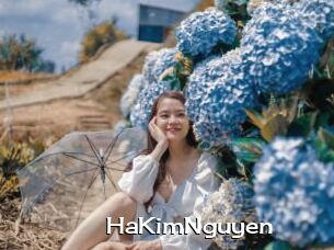 HaKimNguyen