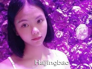 Haijingbao