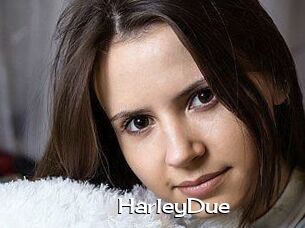 Harley_Due