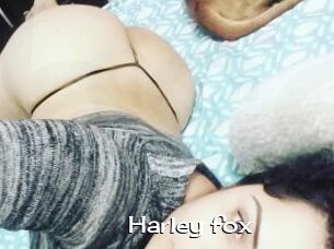 Harley_fox